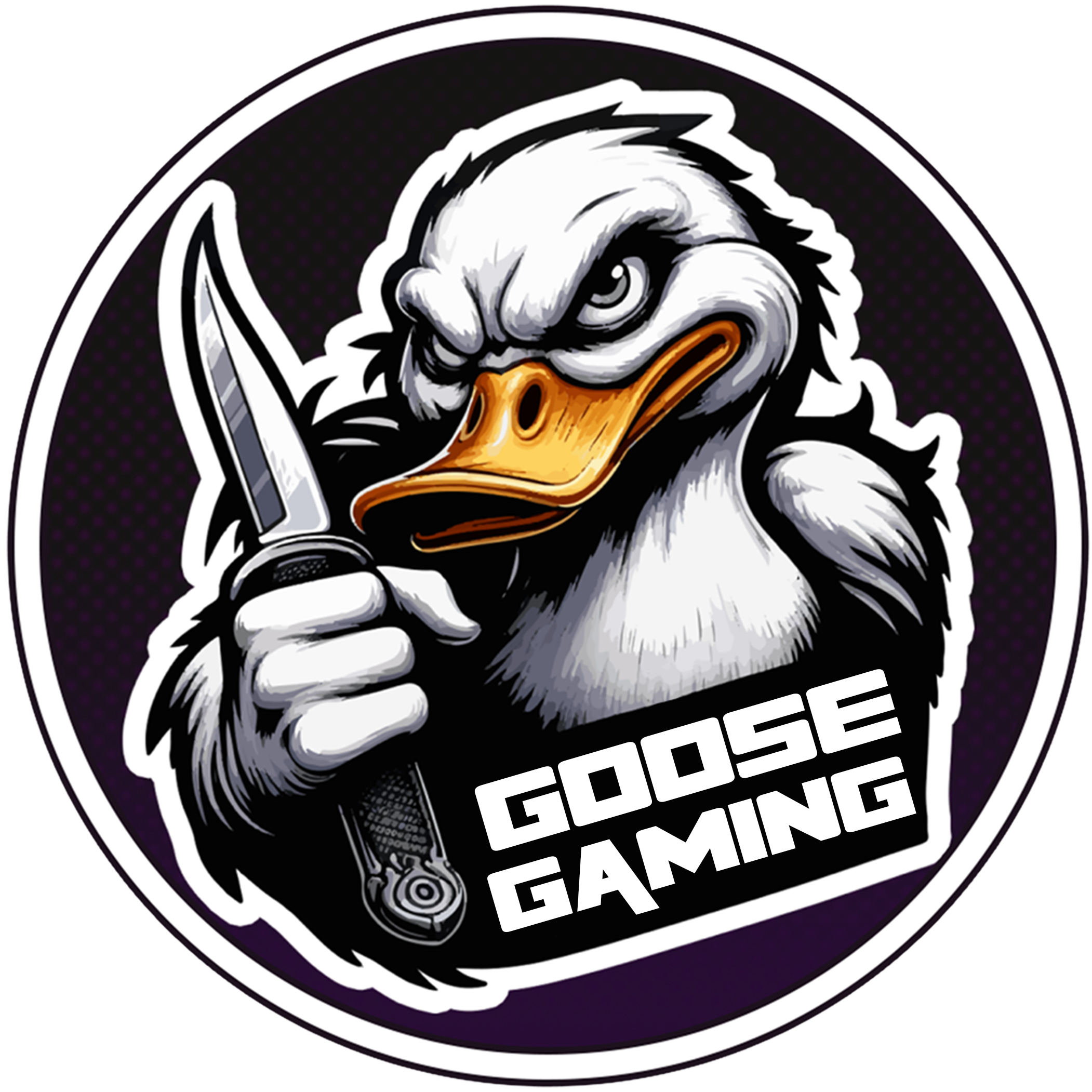 Goose (goosegaming.eth) Farcaster social identity (Fname handle) PFP