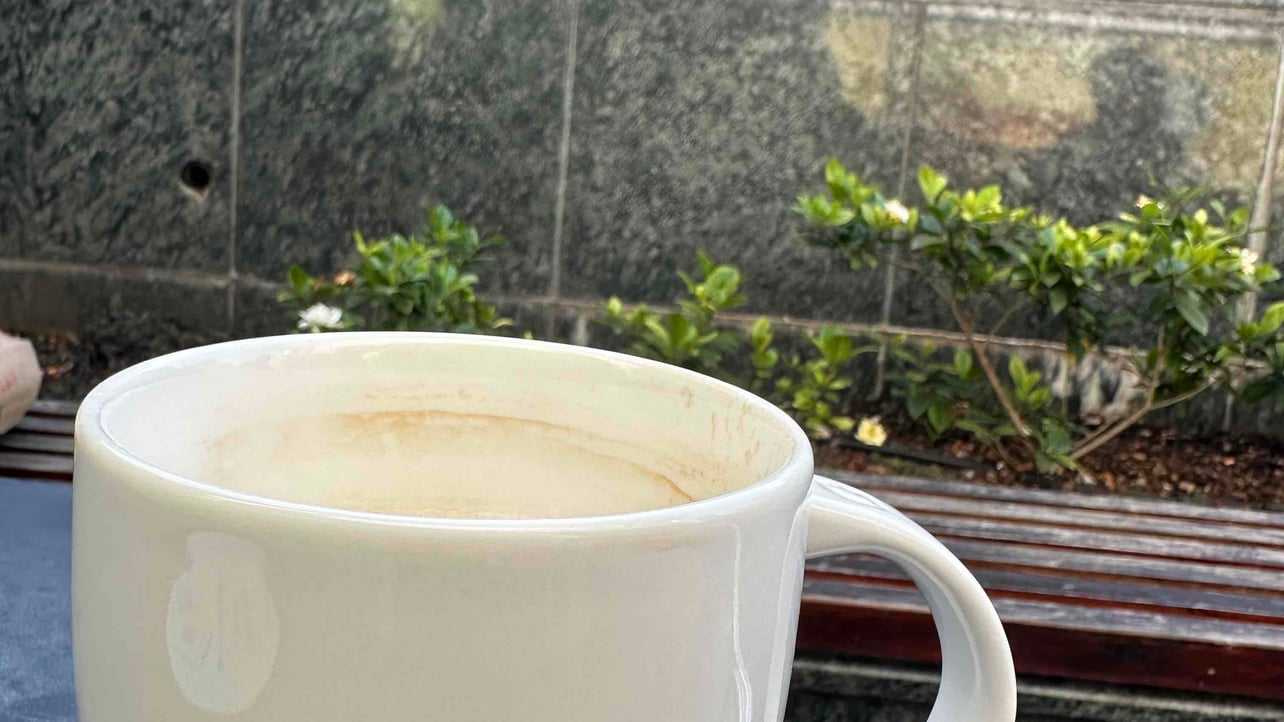 Francisco (corvusangel.lens) Lens social identity (.lens handle) PFP