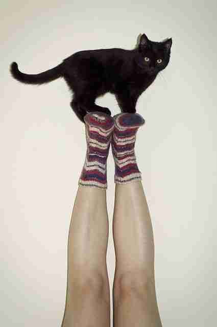 DulnesseBestDaily pfp