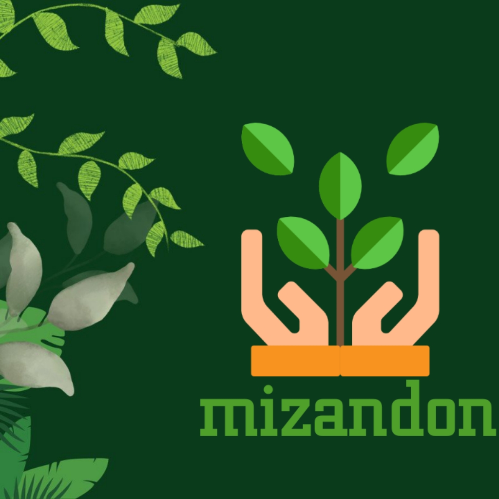 Mizandon (mizandon) Farcaster social identity (Fname handle) PFP