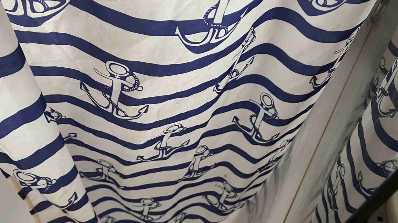 Feiyu Zhu (zedjasontt) Farcaster social identity (Fname handle) PFP