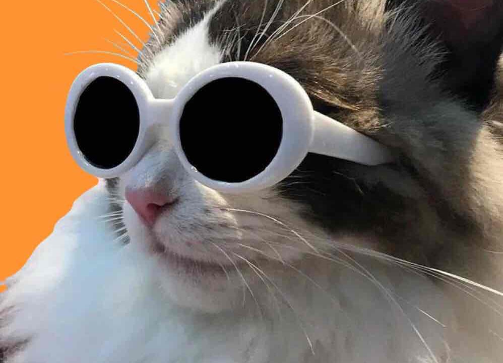 Mirai pfp
