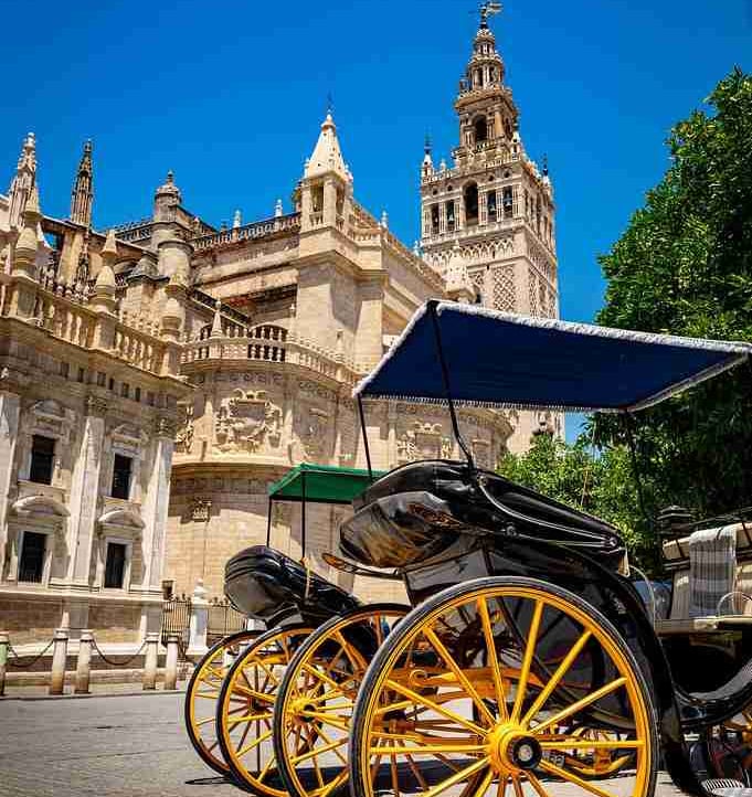 Tommy Smith (louishall) Farcaster social identity (Fname handle) PFP