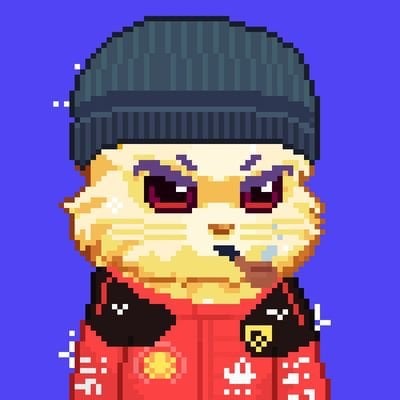Owen 🐻 pfp
