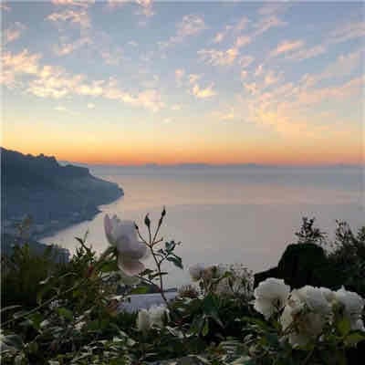 vasetable442 Farcaster social identity (Fname handle) PFP