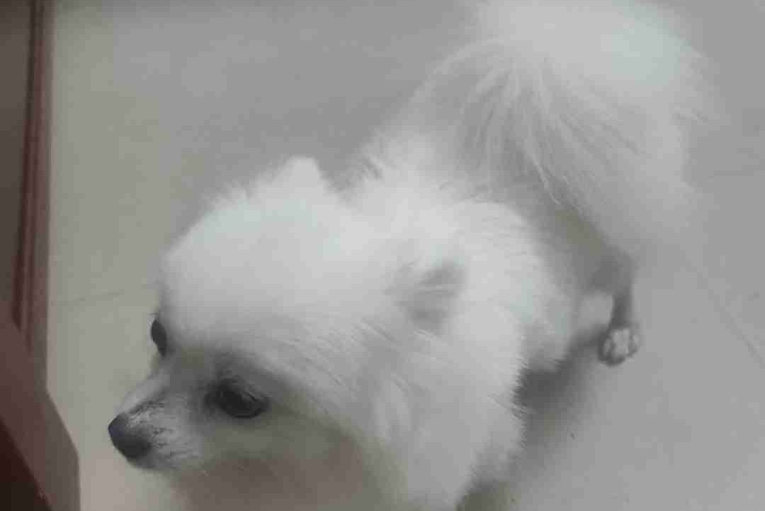 katey1.lens Lens social identity (.lens handle) PFP