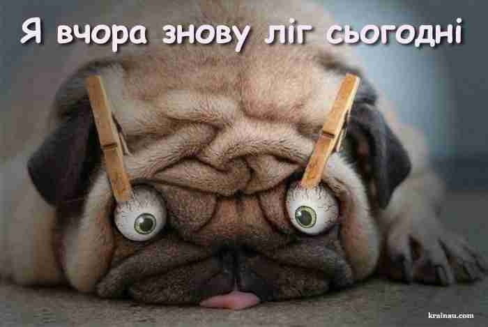 Oleg01 (logan0170.lens) Lens social identity (.lens handle) PFP