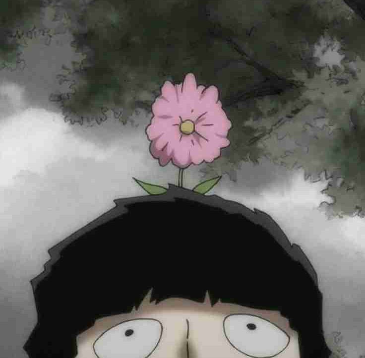 fish (fishinsea.lens) Lens social identity (.lens handle) PFP