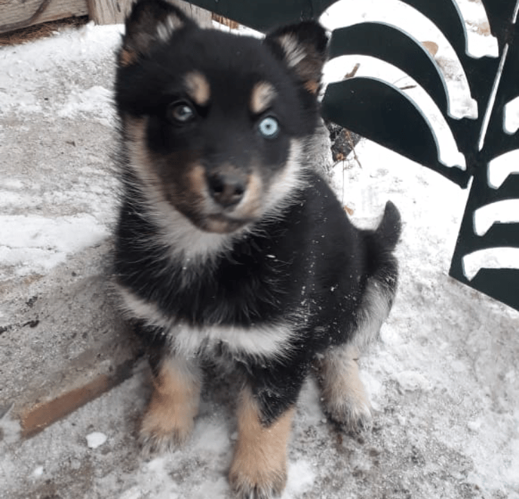 Alexandr (bara76) Farcaster social identity (Fname handle) PFP