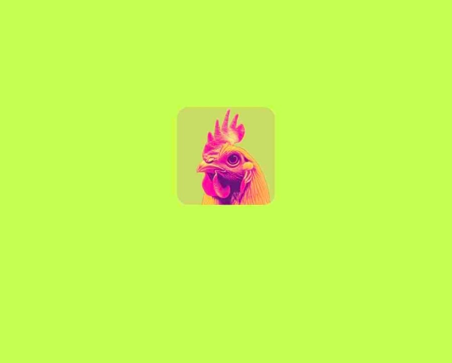 Husem pfp