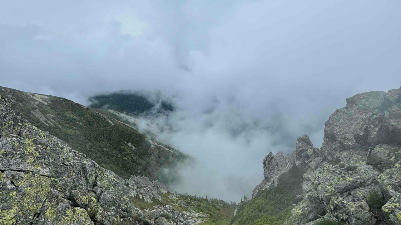 Varulv (coldvoid) Farcaster social identity (Fname handle) PFP