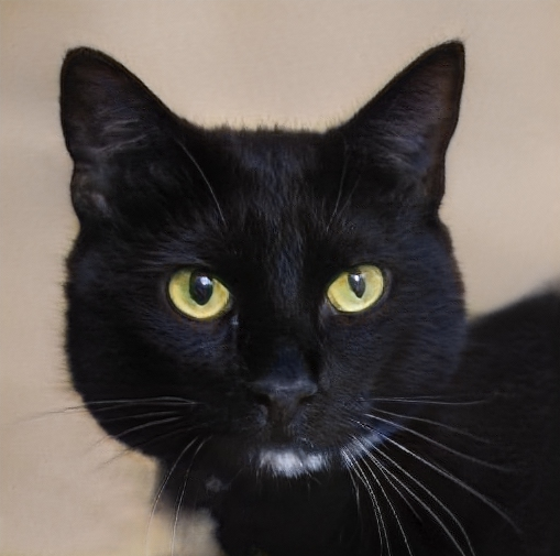 Charles C Coto (cootoo) Farcaster social identity (Fname handle) PFP