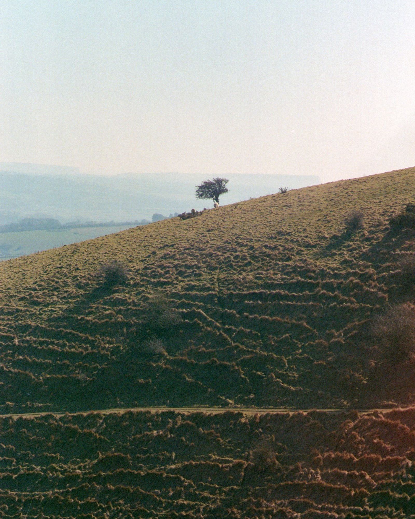 Cast image