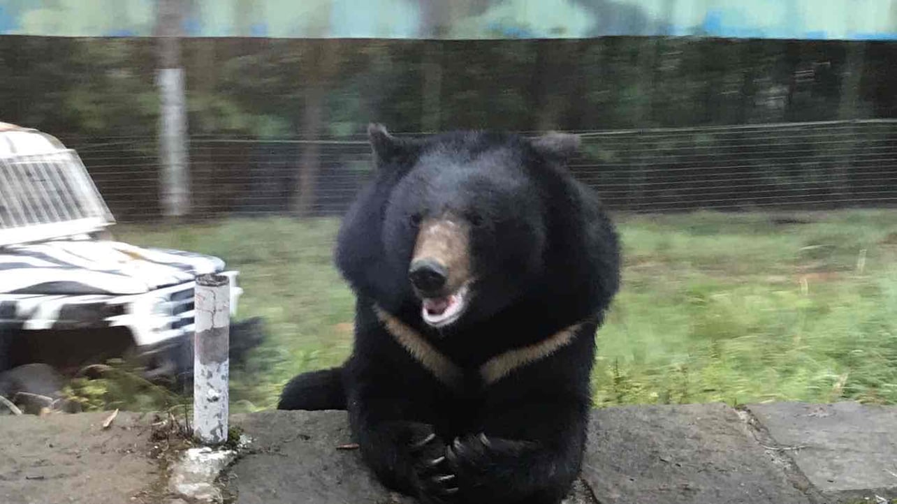 bscytun (niuyh) Farcaster social identity (Fname handle) PFP