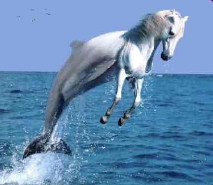 Anu Jakobson (avantgardebabe) Farcaster social identity (Fname handle) PFP