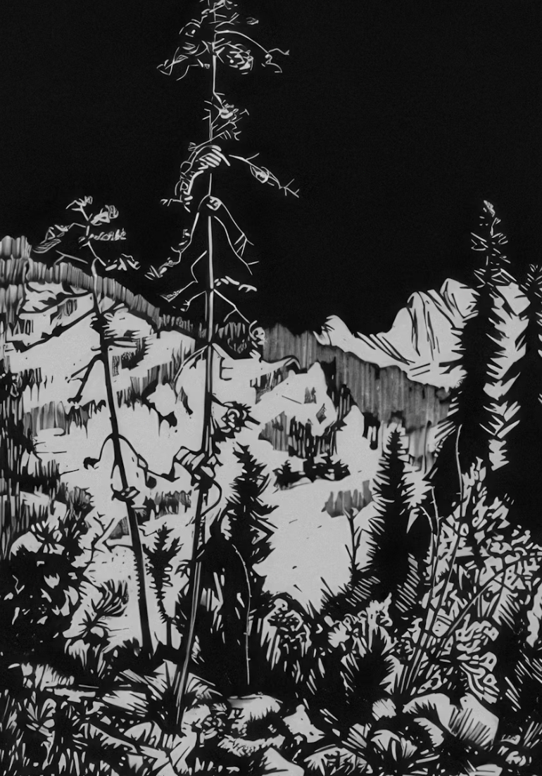 Cast image