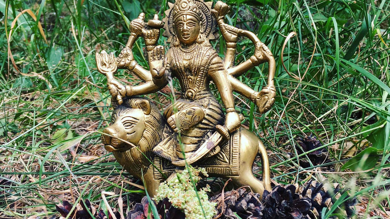 nie (parra.lens) Lens social identity (.lens handle) PFP