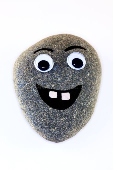 Pet rock