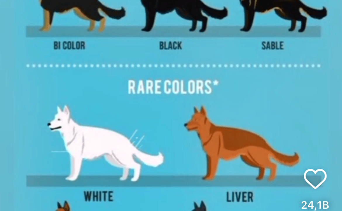 Ugusef10 (ugusef10.lens) Lens social identity (.lens handle) PFP