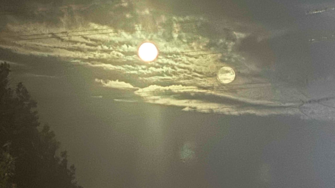 binbin (xiaoxiaobin) Farcaster social identity (Fname handle) PFP