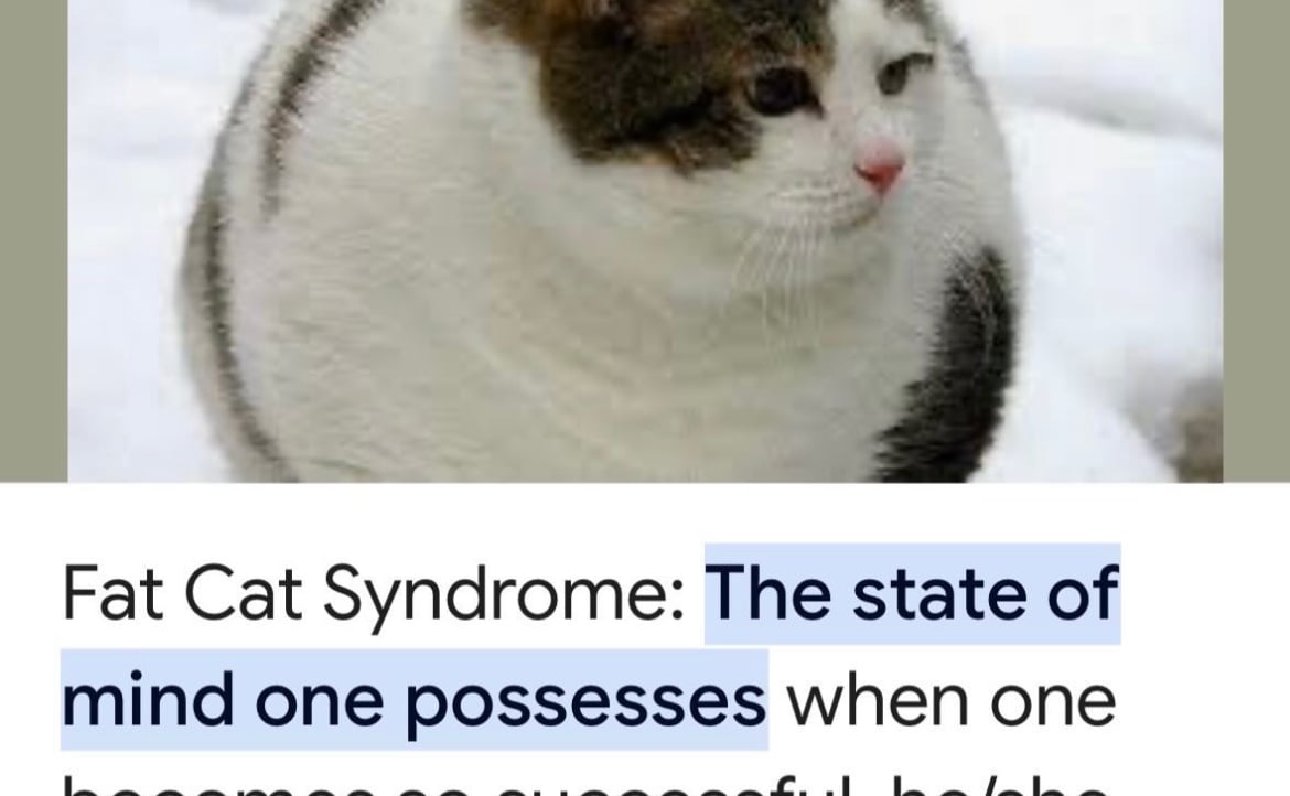 Moose (frontrunned) Farcaster social identity (Fname handle) PFP