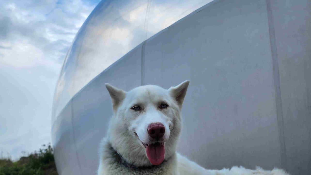 lewislrm.lens Lens social identity (.lens handle) PFP