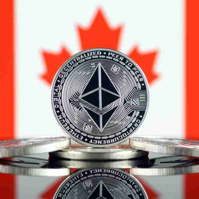 realcanadiancrypto.eth pfp