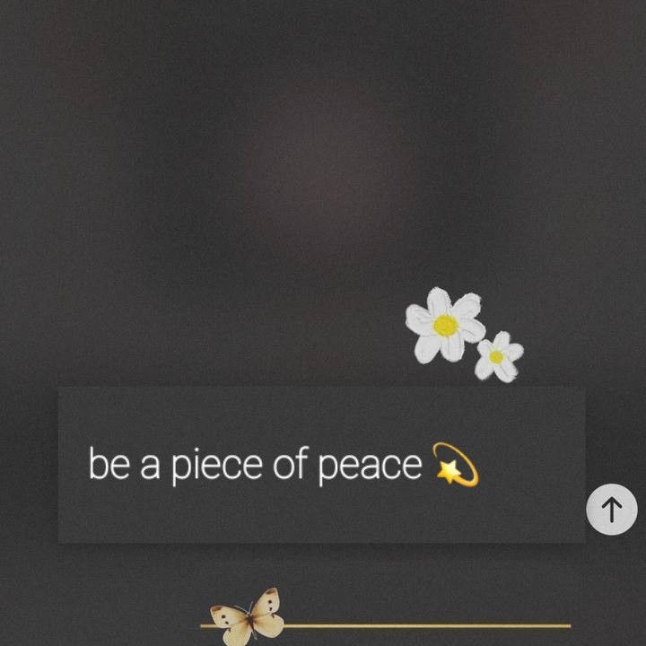 Softlychi 🧸✨️ pfp