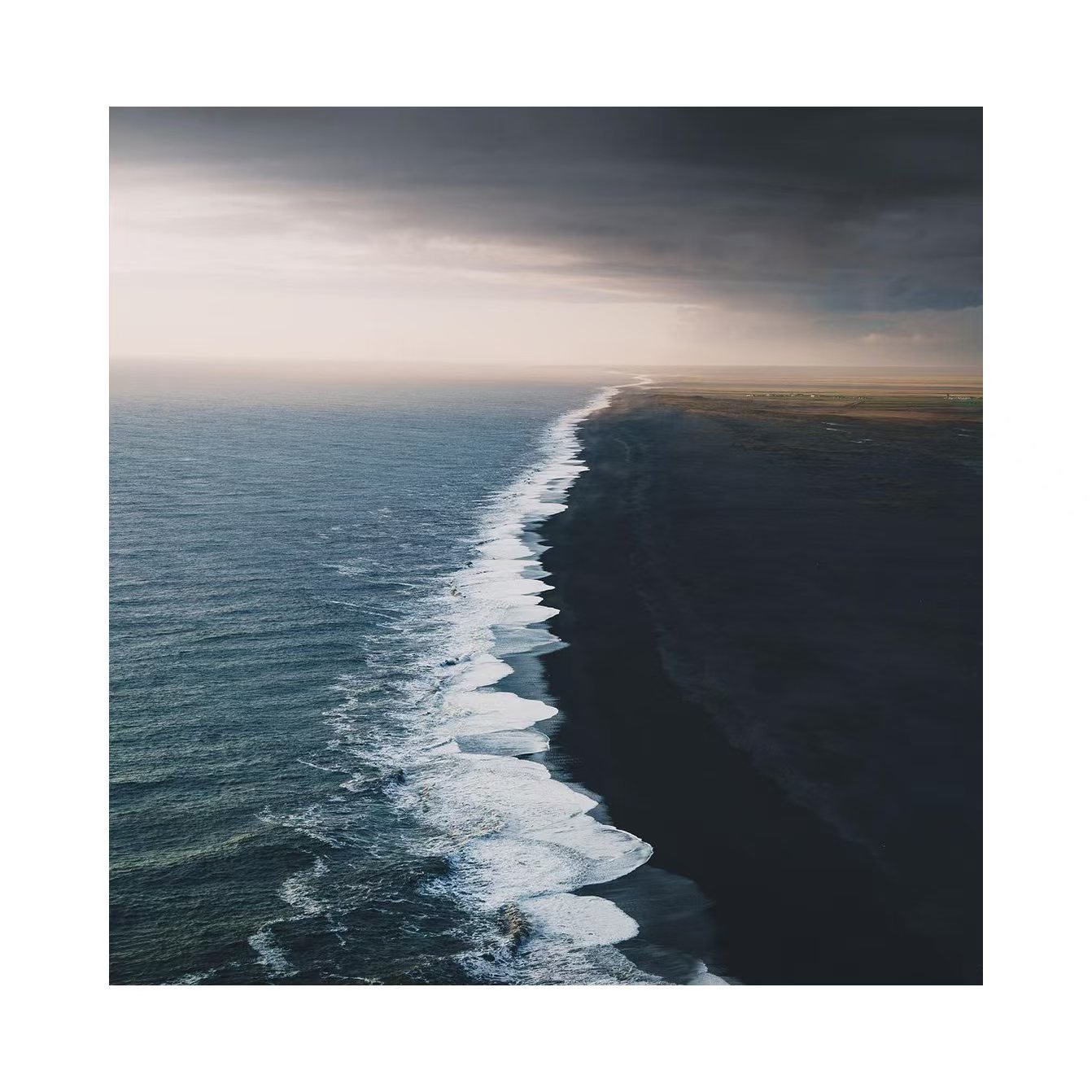 White (daniellly) Farcaster social identity (Fname handle) PFP