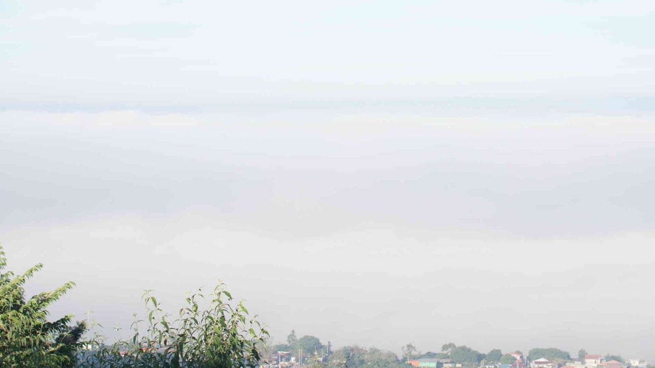 kt009.lens Lens social identity (.lens handle) PFP