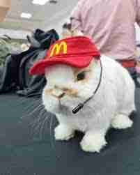 Gabriell (gbrllowens5.lens) Lens social identity (.lens handle) PFP