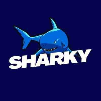 0x_sharky pfp