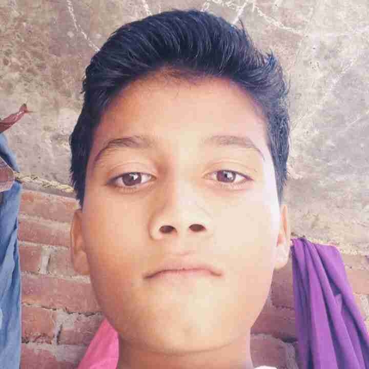 papp.linea.eth Linea Name Service (.linea.eth domains) based on ENS PFP