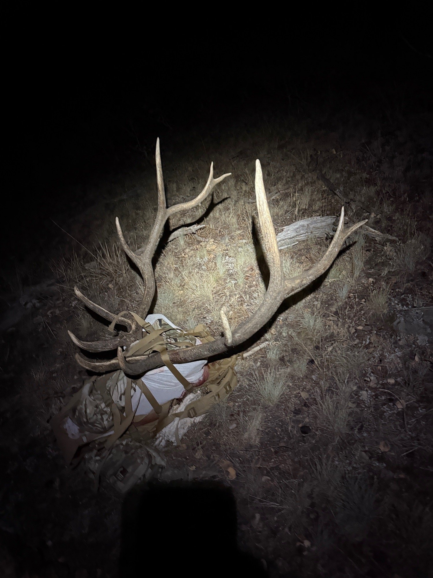 started hunting this year. many similarities to startups:

high consequence decision-making based on limited (often stale) information and intuition

high cognitive and physical effort 

being wrong more often than right is psychologically demanding. despite repeat failure and low probability of success one must maintain high (irrational) optimism

timing and luck > skill  

the hardest work starts after success, not before 

eat what you kill