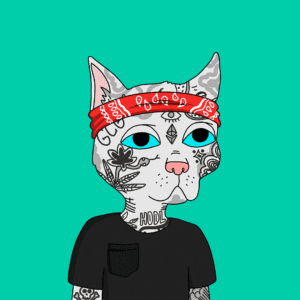 Catmaster pfp