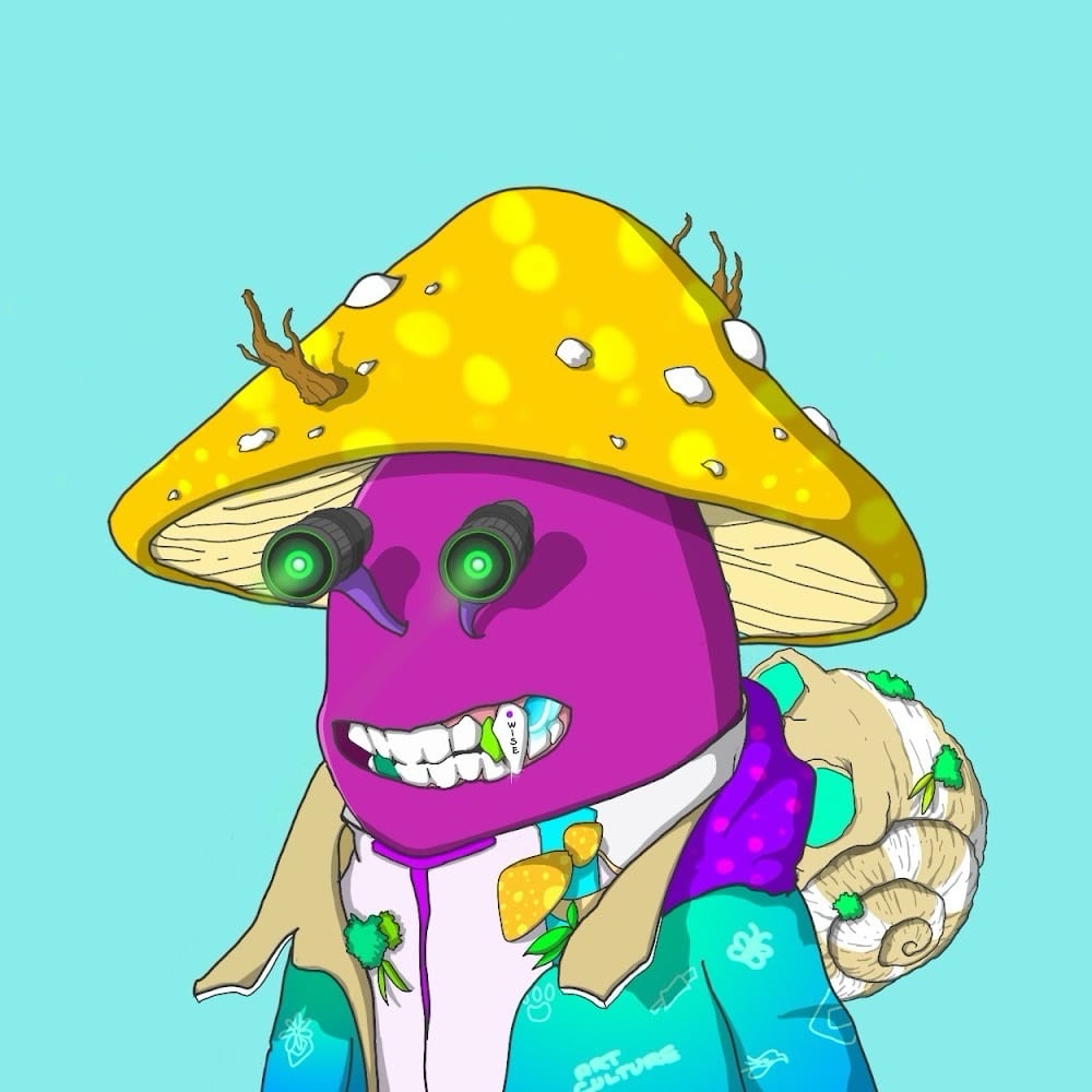 Temitayo pfp