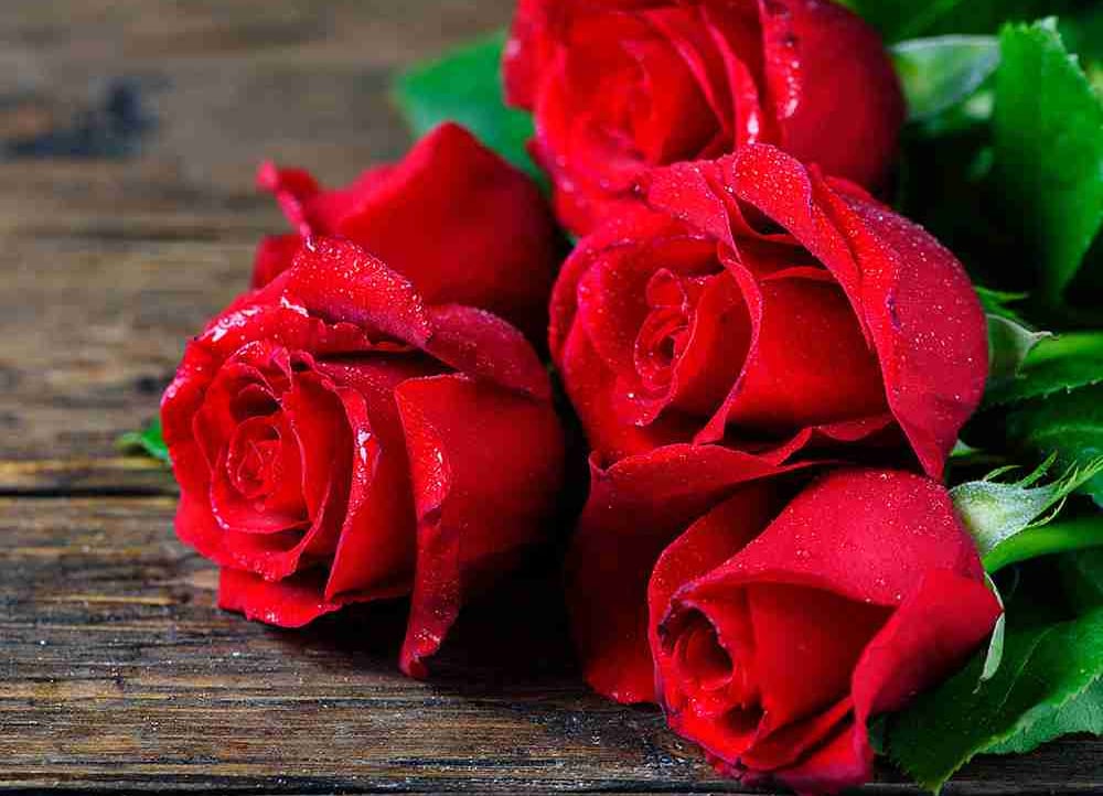 fiolka (rzhyy11) Farcaster social identity (Fname handle) PFP