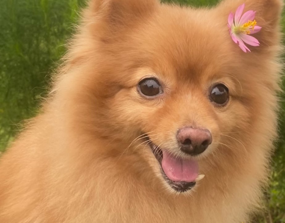 Maciboy (maciboy) Farcaster social identity (Fname handle) PFP