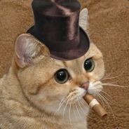 chilldudeMike pfp
