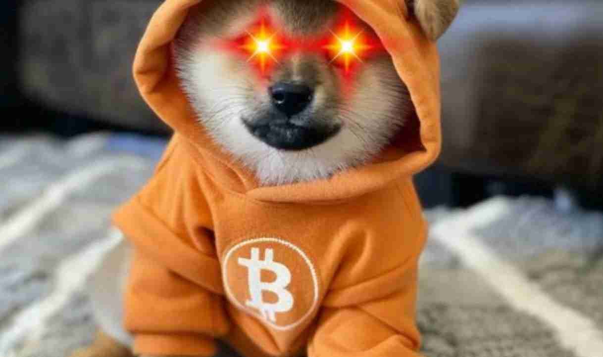 IACrypto pfp