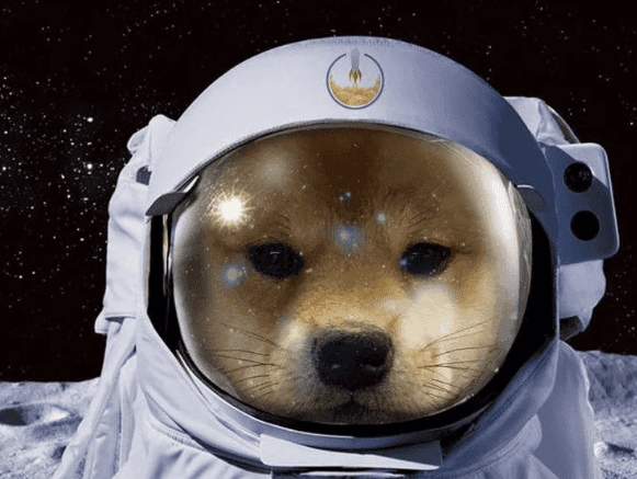 Dog in Space