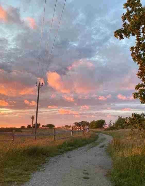 beriktuleu.lens Lens social identity (.lens handle) PFP