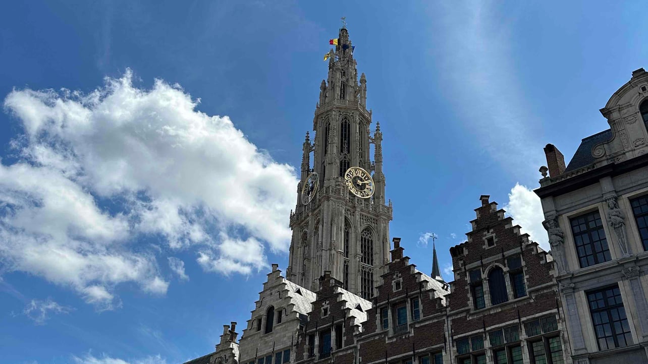 Ramon - Following Back  (mylady) Farcaster social identity (Fname handle) PFP