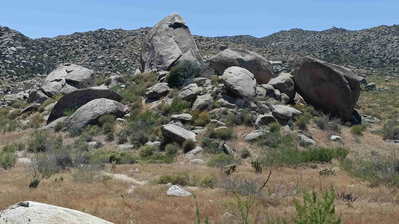 Boss (bosshog70.lens) Lens social identity (.lens handle) PFP