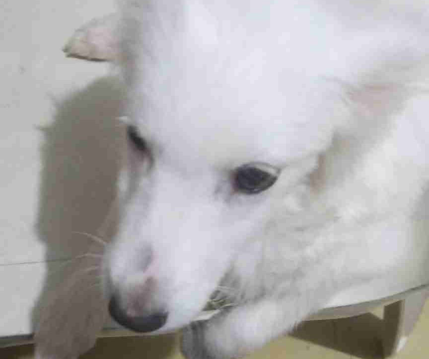 olsco9.lens Lens social identity (.lens handle) PFP