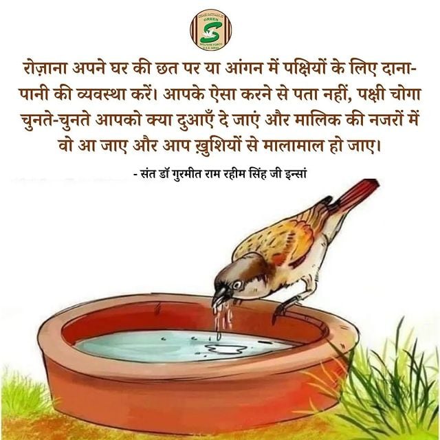 gazer (fullmvn3z) Farcaster social identity (Fname handle) PFP