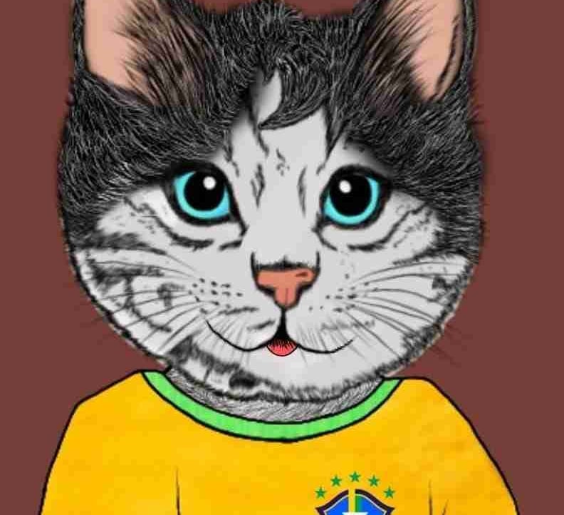 Andre Miranda's Farcaster avatar