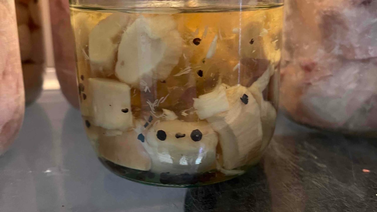 Freon (freon) Farcaster social identity (Fname handle) PFP