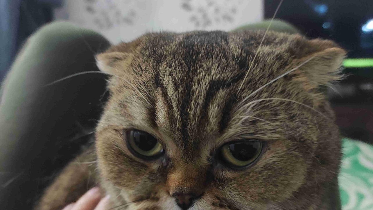 DANTESIUS "base.eth" (dantesius) Farcaster social identity (Fname handle) PFP