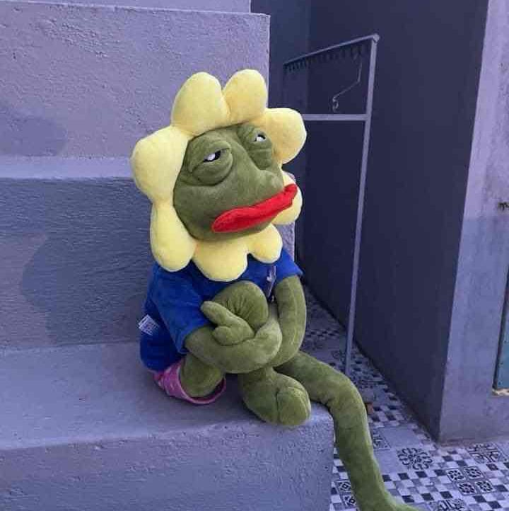 Công Phú pfp